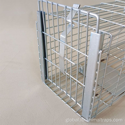 Small Animal Trap Cage Free Customized Logo Humane Mouse Trap Supplier